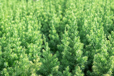 Similar image 22038523