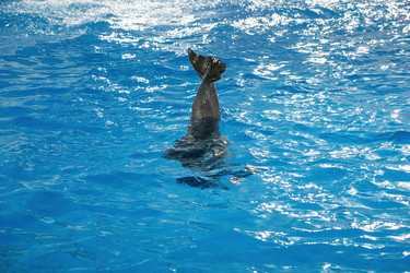 Similar image 22038527