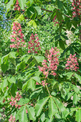 Similar image 22038530