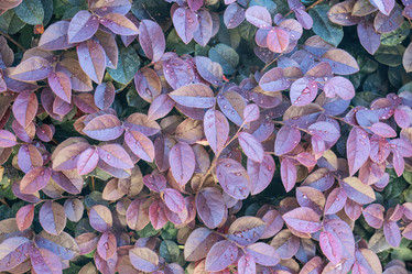 Similar image 22038533