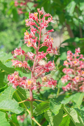 Similar image 22038534