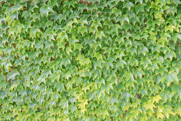 Similar image 22038536