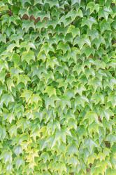 Similar image 22038537