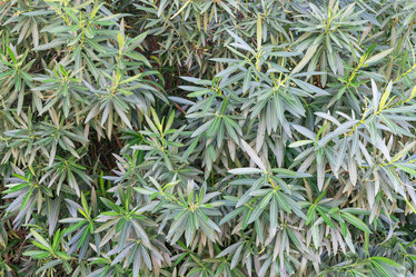 Similar image 22038540