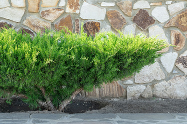 Similar image 22038541