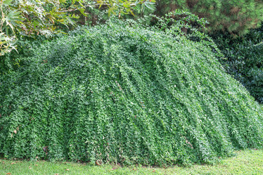 Similar image 22038544