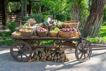 Similar image 22038547