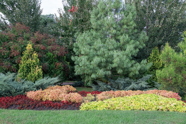 Similar image 22038548