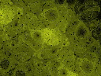 Similar image 22023012