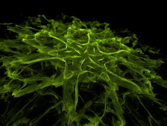 Similar image 22023954