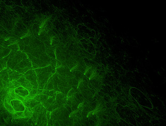 Similar image 22021656