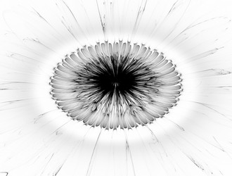 Similar image 22020896