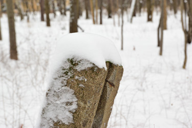 Similar image 22048258