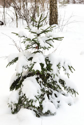 Similar image 22048259