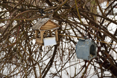 Similar image 22048267