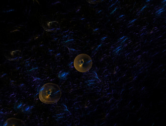 Similar image 22020455