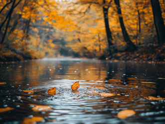 Similar image 22025253