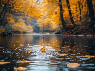 Similar image 22031142