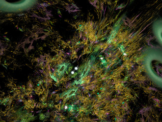 Similar image 22021658