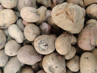 Similar image 22028470