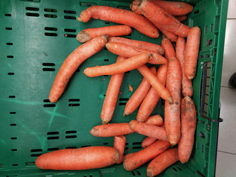 Similar image 22028471