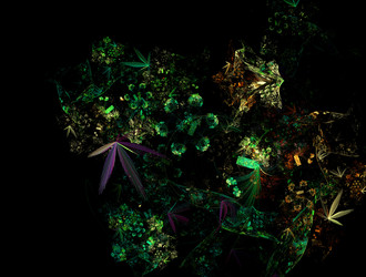 Similar image 22020071