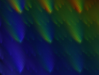 Similar image 22020210