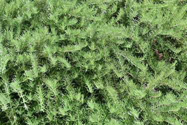 Similar image 22048155