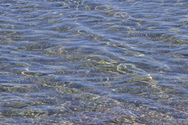 Similar image 22048307