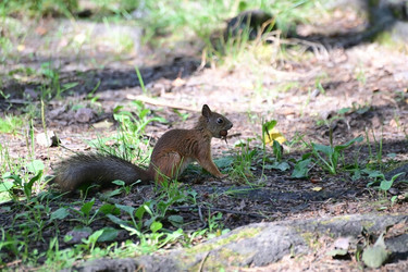 Similar image 22048322