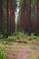 Similar image 22048323