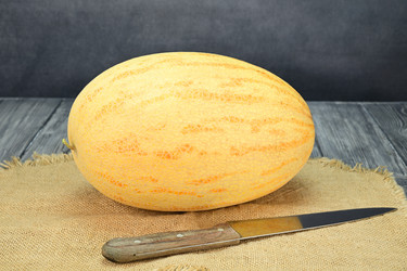 Similar image 22048328