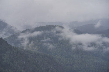 Similar image 22056125