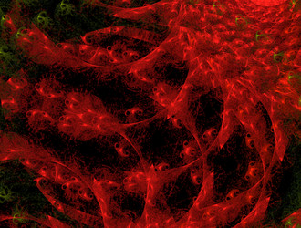 Similar image 22022526