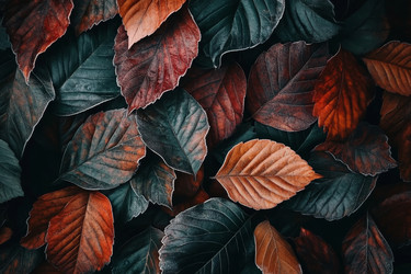 Similar image 22025590