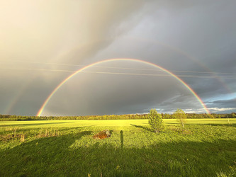 Similar image 22048737