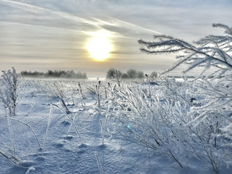 Similar image 22048739