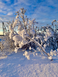 Similar image 22048740