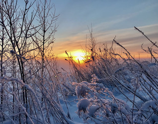 Similar image 22048743