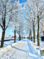 Similar image 22048747