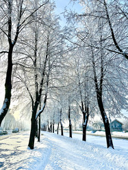 Similar image 22048748