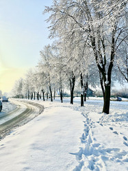 Similar image 22048749