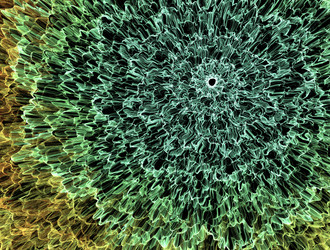 Similar image 22021959