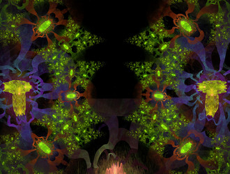 Similar image 22023599