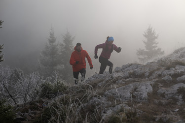 Similar image 22047698