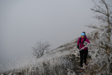 Similar image 22047799