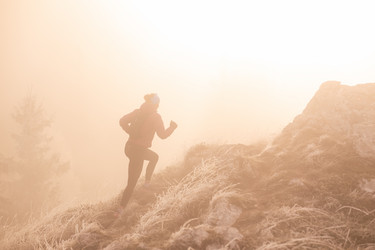 Similar image 22047800