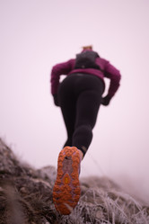 Similar image 22047816