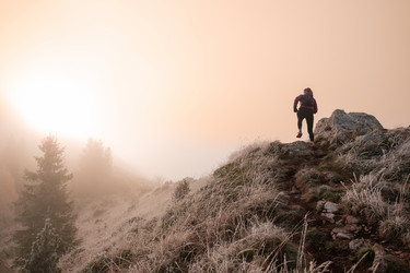 Similar image 22047747