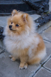 Similar image 22048595